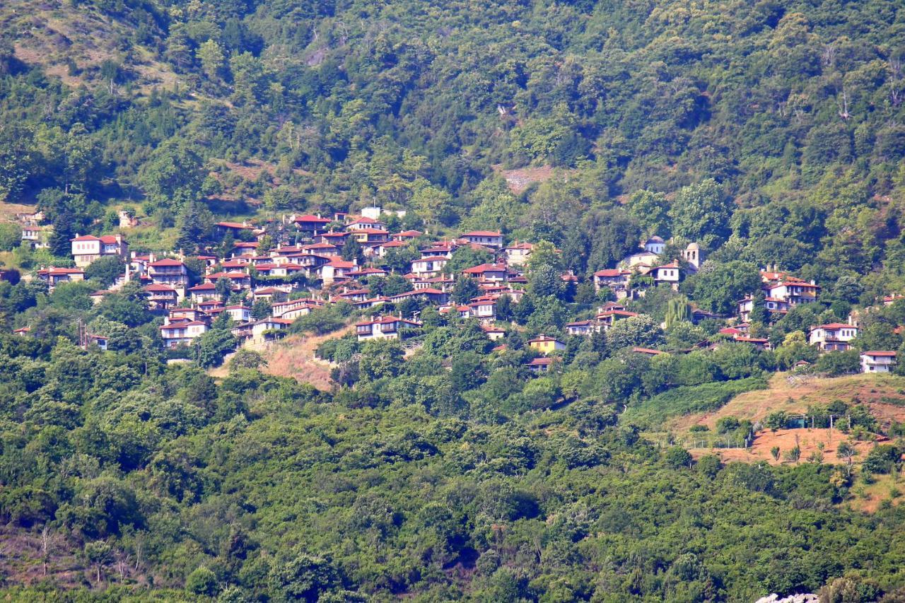 Ferienwohnung Ktima Garas Paralia Pantaleimonos Exterior foto